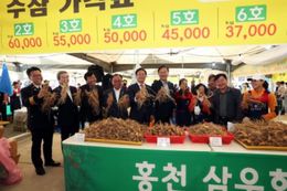 2022 강원 홍천 인삼·한우 명품축제 개막
