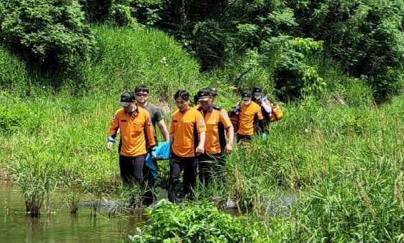 전남소방, 실종 신고된 70대... 마을인근 야산에서 발견