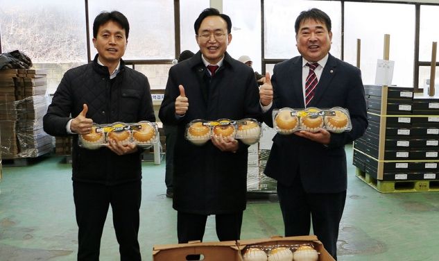 윤병태 나주시장과 이동희 나주배원협조합장, 신경훈 농협나주시지부장 등은 설 명절을 앞두고 나주배원협 선과장을 찾아 나주배 품질, 유통 현황 등을 점검하며 관계자들의 노고를 격려했다.