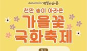 계양아라온 ‘가을꽃 국화축제’ 9월 20일 시작
