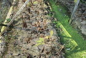 청주시, 농업재해 재난지원금 5억8천만원 지급