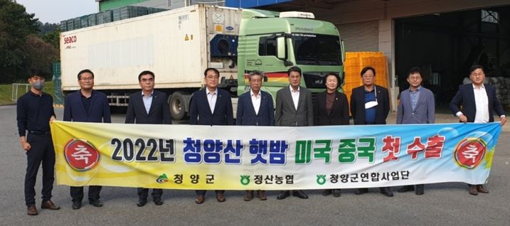 청양산 햇밤 40t 해외 수출길 올랐다
