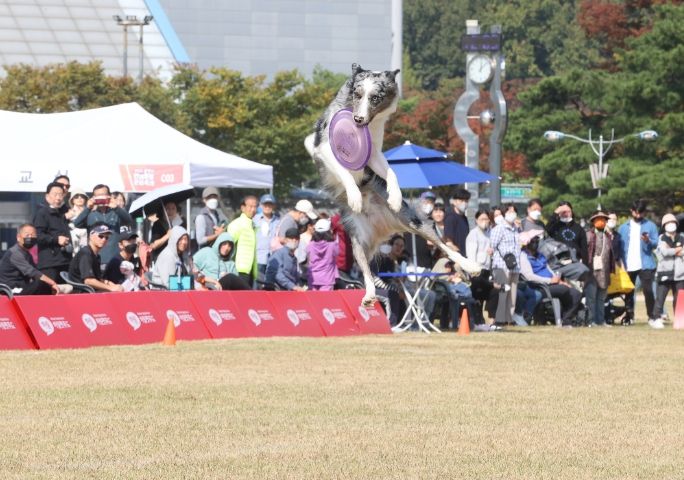 2022년 광명시 반려동물 문화축제