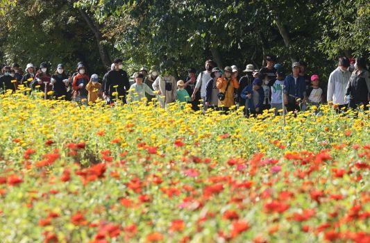제8회 함양군민건강걷기대회’ 가을 상림 힐링행사