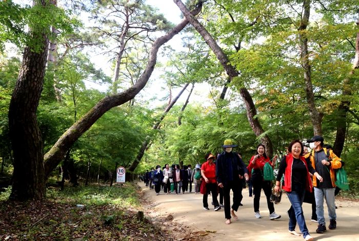 의성군, 제1회 최치원문화제 성황리 종료