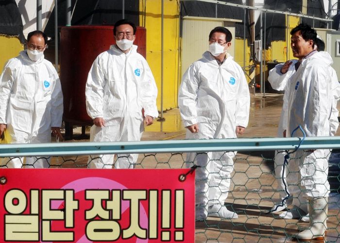 전라남도 김영록 지사, 조류인플루엔자 방역 현장 살펴