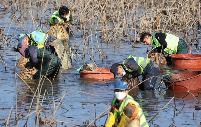 전남 강진군 병영면 중고저수지 일원에서 열린 가래치기 행사
