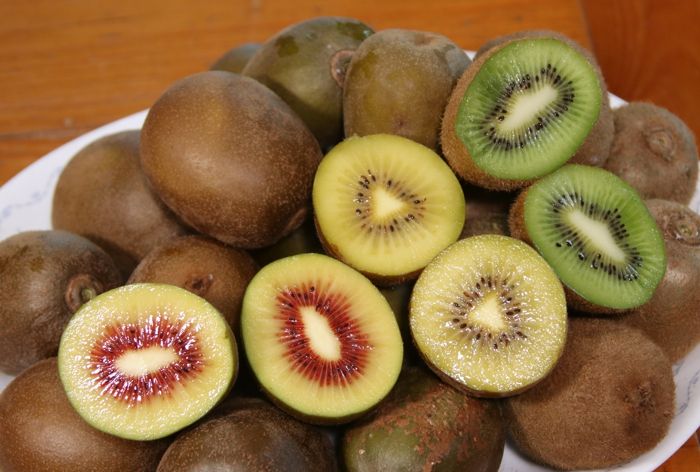 전국 최대 키위 주산지‘보성키위’ 지리적표시 제111호 등록